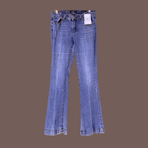 Earl Jean Flared Jeans | Blue Low-Rise | Size 4 | Y2K Vintage